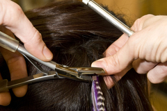 Женщина вернулась из парикмахерской с личинками в голове