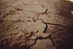 Александр Баунов* предсказал конец Европы в случае продолжения засухи в бедных странах