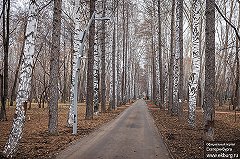 Мэру Екатеринбурга показали, как проходит благоустройство парка, за который голосовали жители