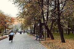 Аллеи вдоль улицы Мира в Екатеринбурге получили свои названия