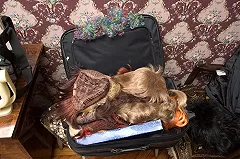 «Уральские пельмени» признались, что стали «жвачкой»