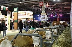 McDonald\'s раскрыл состав своих гамбургеров