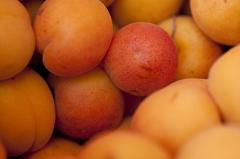 Португальские компании создадут в России СП по переработке фруктов