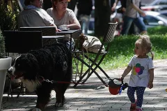 Девочку, которую на поводке выгуливала родная бабушка, могут забрать из семьи