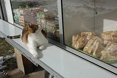 Рост цен в Свердловской области за 11 месяцев составил 13,5%