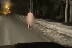 Почему екатеринбуржцы стали массово ходить голыми по улицам?