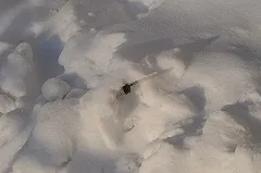 ВИЧ-положительного наркомана, изнасиловавшего ребенка, будут судить в Челябинске