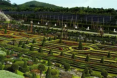 Французы примут участие в реконструкции парка вблизи площади Коммунаров