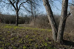 Земли колхоза «Шиловское» распродадут в счет погашения долга Ильи Гаффнера