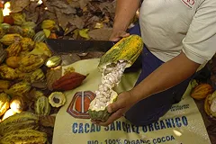 Эксперты предсказали сокращение производства шоколада в России