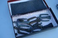 Черный археолог присвоил клад Железного века, найденный под Полевским