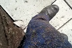 Регион Предуралья атаковала мошкара