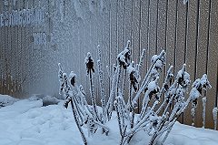 После сильнейшего снегопада в Свердловской области похолодает до -37 градусов