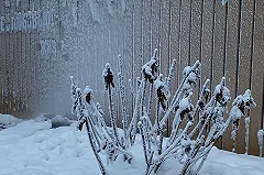 После сильнейшего снегопада в Свердловской области похолодает до -37 градусов