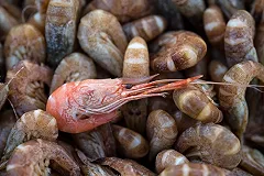 В Японском море прекратили искать пропавший траулер «Восток»