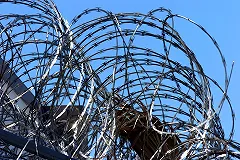 Из колонии «Черный беркут» на Урале увезли 60 смертников