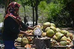 Роскачество назвало плюсы и минусы растительных аналогов молока