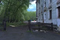 В Полевском на женщину с ребенком в коляске упал тополь