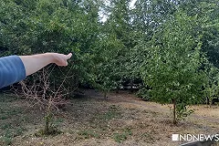 В Харитоновском парке возле ТЮЗа на девушку напал насильник