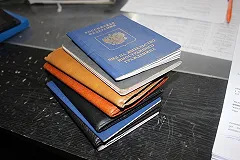 Оскорбившего в Челябинске бойца UFC Ирину Алексееву мигранта депортировали