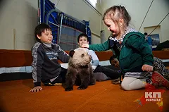 В честь Марчевского назвали одного из найденных в лесу медвежат