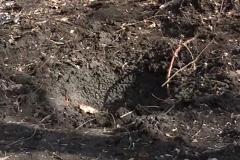 В Сети появилось видео с места взрывов в Донецке