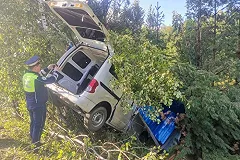 Под Екатеринбургом пьяный водитель насмерть сбил женщину на остановке