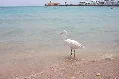 На Урале встали продажи туристических путевок