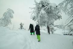 Морозы до -40 градусов ожидаются в Свердловской области