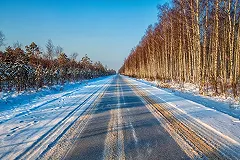 В Перми водитель автобуса высадил ребенка в лесу