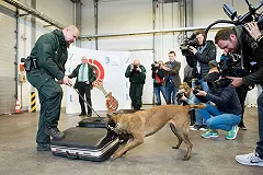 На турецкой таможне в чемодане нашли гражданку Грузии