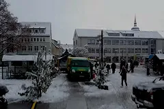 Немецкий политик выступил со зловещим «рождественским посланием» украинским беженцам