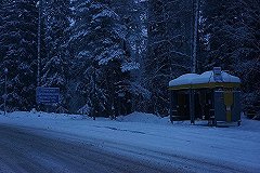 Из Екатеринбурга уже в январе начнут ходить автобусы до Казани