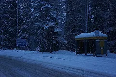 Из Екатеринбурга уже в январе начнут ходить автобусы до Казани