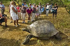 МИД предостерег россиян за границей от слов «яблан», «жид» и «понос»