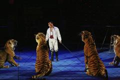 Дети плакали: на Южном Урале во время циркового шоу тигр забился в конвульсиях