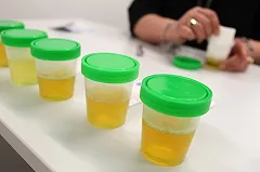 Спортсменка с Урала, запустившая допинг-скандал, просит убежища в Канаде