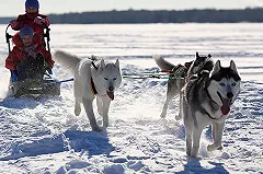 На Урале напишут этнографический диктант