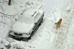 В центре Екатеринбурга на прохожих рухнула глыба снега