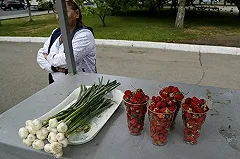 Как в Швейцарии. Иван Зайченко выделил полку для «бабушкиных» заготовок