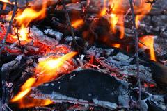 Свердловчанам запретили ходить в лес и разжигать костры
