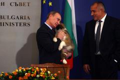 Болгария будет настаивать на реализации «Южного потока»