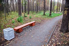 Тропу разведчика Николая Кузнецова восстановили в Шувакишском лесопарке