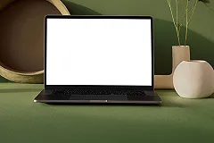 Екатеринбурженка перешла по ссылке и лишилась огромной суммы