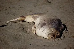 Врач Пироговки рассказала, как правильно пользоваться солнцезащитным кремом