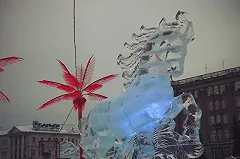 На главной елке в Перми взбесилась лошадь. Под копыта попали три женщины