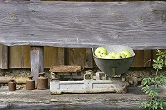 Живущий на прожиточный минимум депутат похудел на 6 килограммов