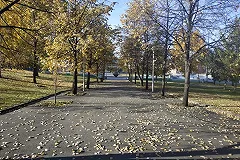 Ученые: Екатеринбуржцы дышат канцерогенным воздухом