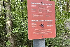 В свердловских аптеках больше нельзя купить вакцины от клещевого энцефалита