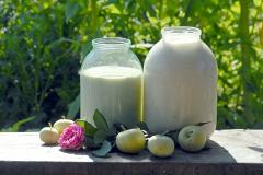 Свердловских производителей молока поддержат на 1,8 млрд рублей